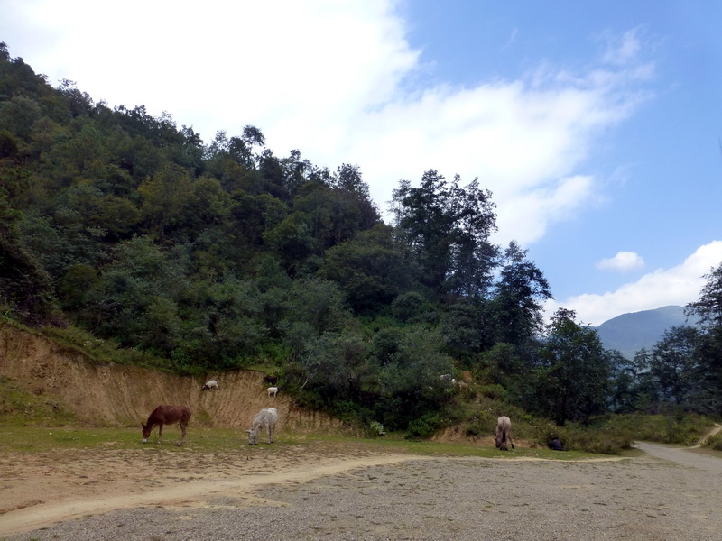 p1280228.jpg