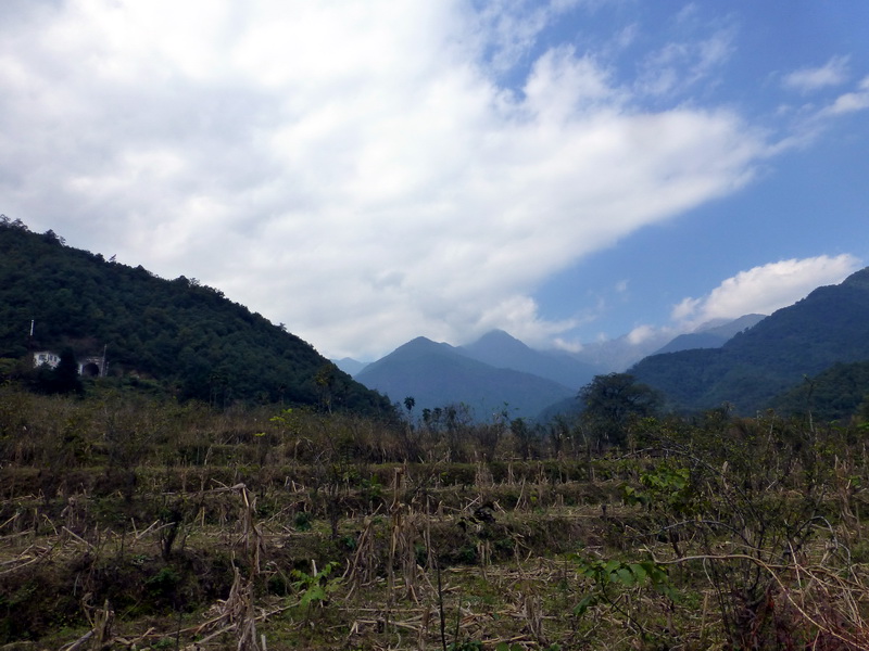 p1280229.jpg