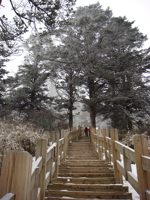 dsc00837_副本.jpg