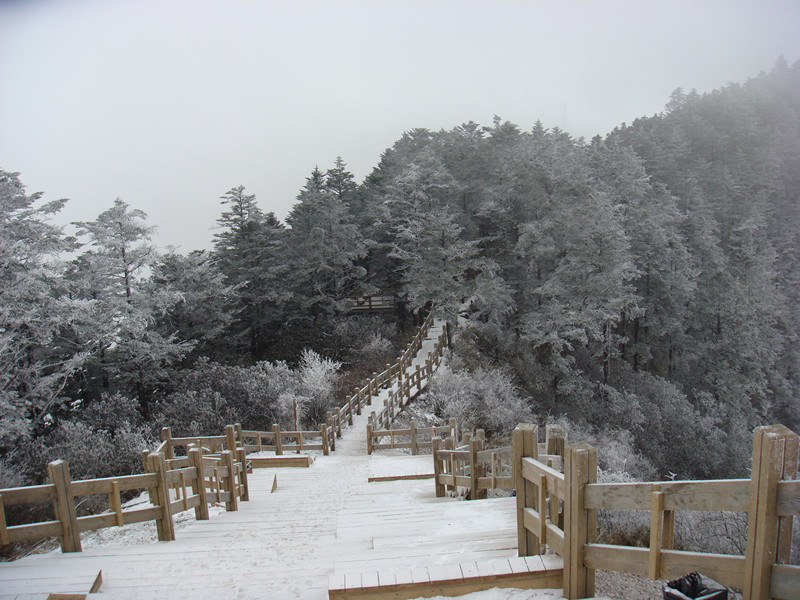 dsc00859_副本.jpg
