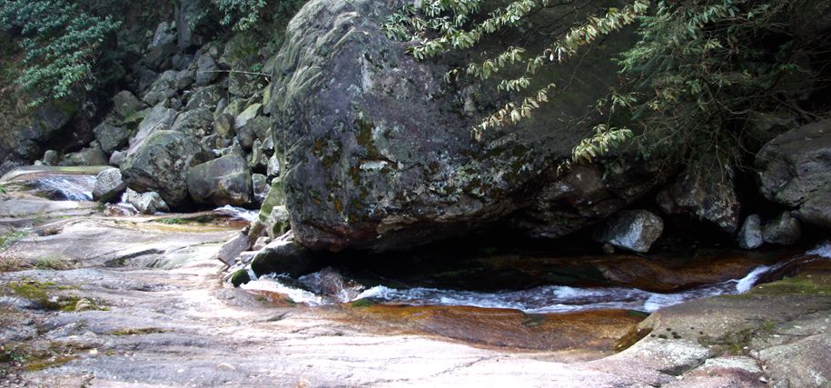 明月山 游.jpg