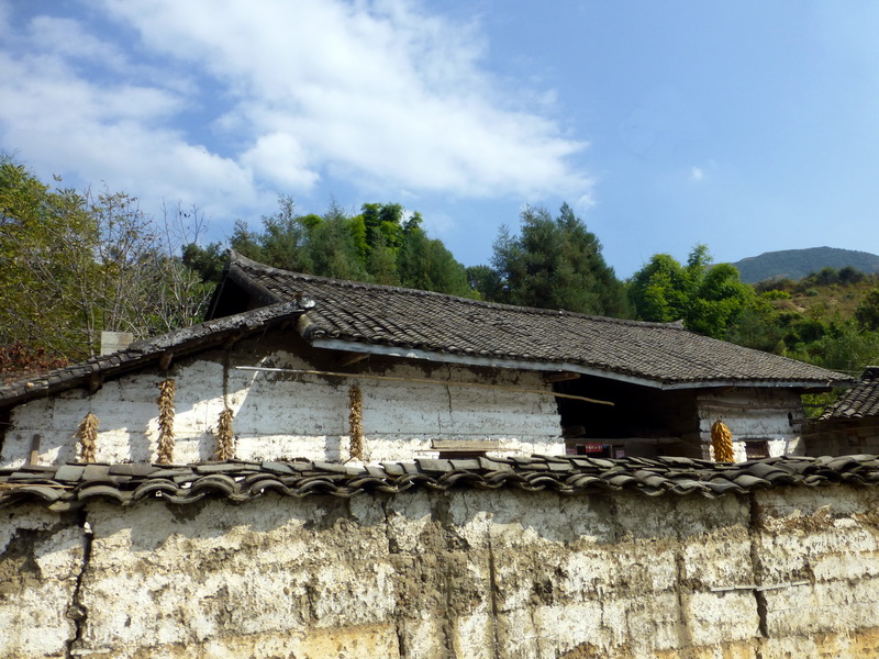 p1280213.jpg