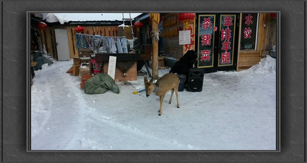 20150110_111744_.jpg