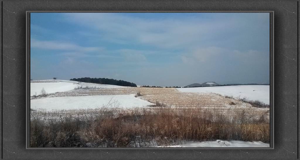 20150111_102951_.jpg