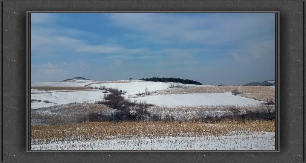 20150111_102955_.jpg
