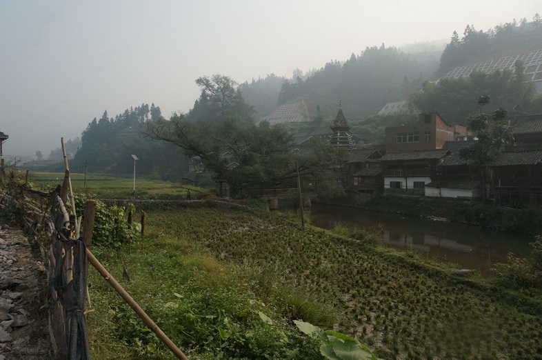 dsc04857.jpg