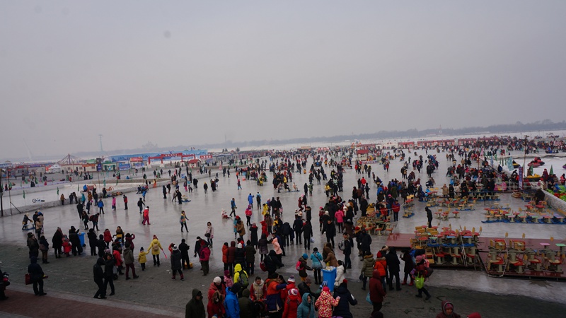 dsc01838.jpg
