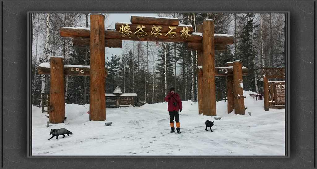 20150111_144610_.jpg