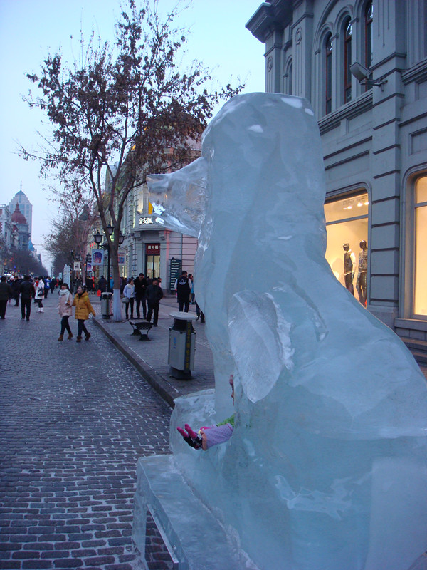 dsc01587_.jpg