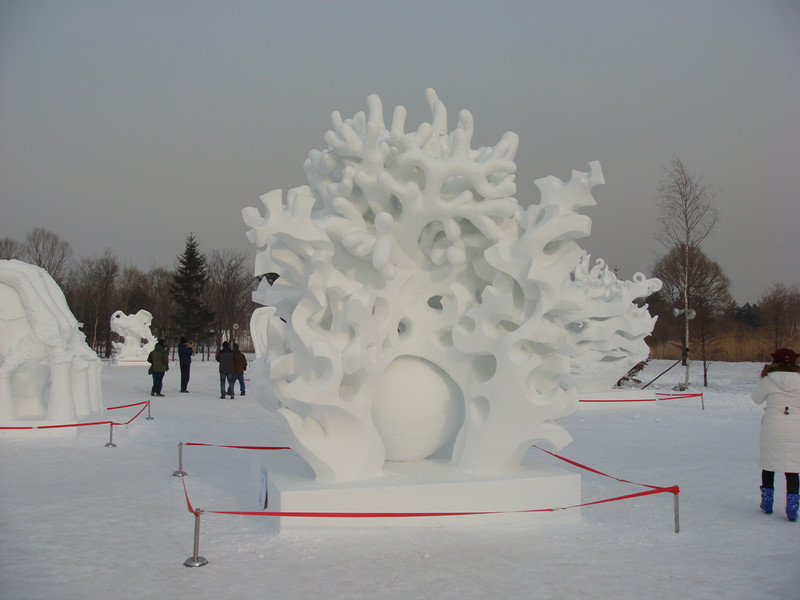 dsc01097_.jpg
