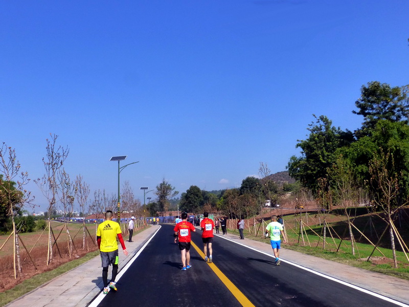 p1280446.jpg