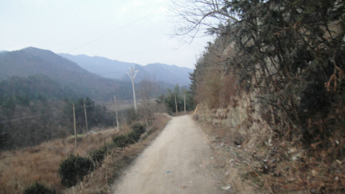 dsc02400.jpg