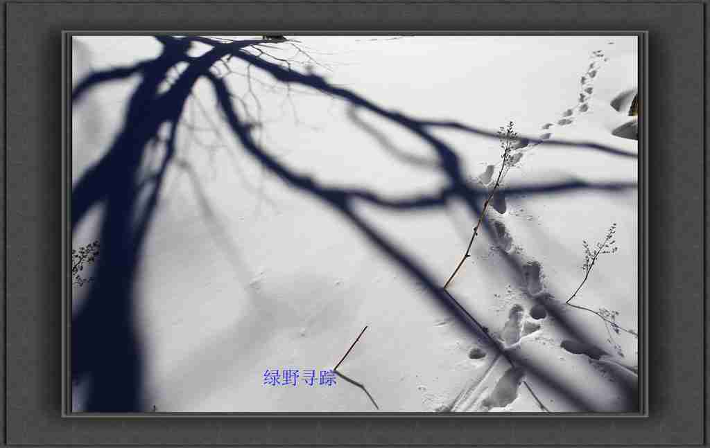 bw3p1194_.jpg