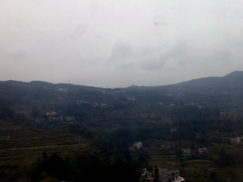 p1280559.jpg