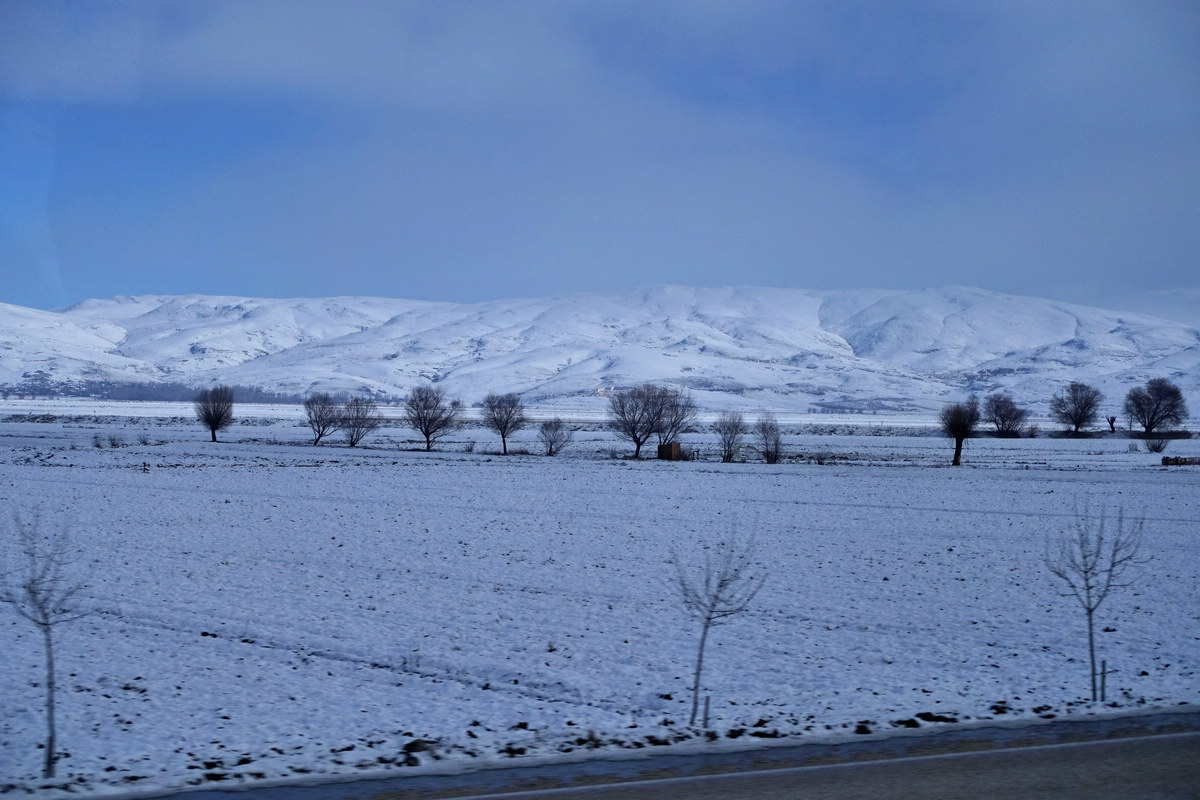 dsc01251.jpg
