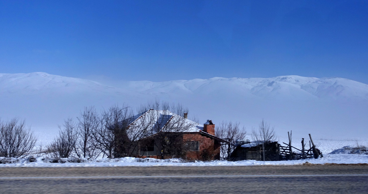 dsc01264.jpg