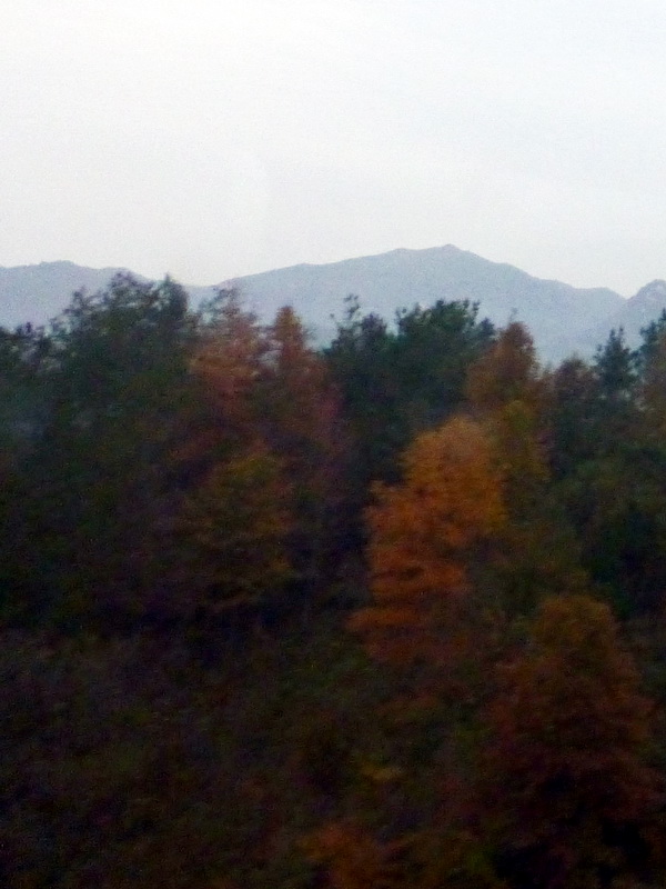 p1280601.jpg