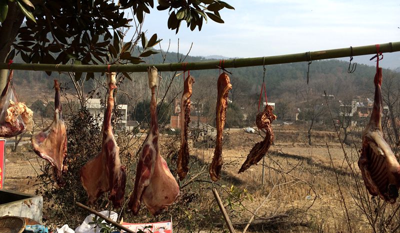 青少年宫年饭.jpg