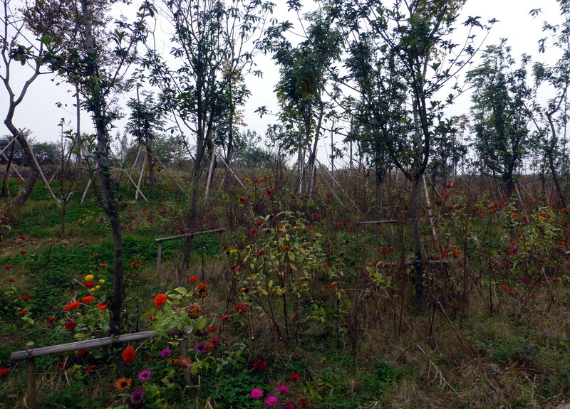 p1280651.jpg