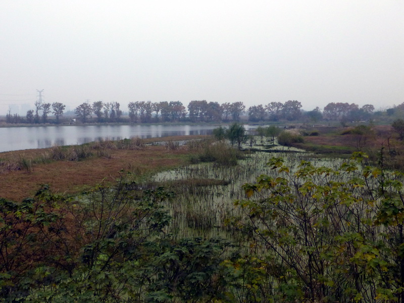 p1280657.jpg