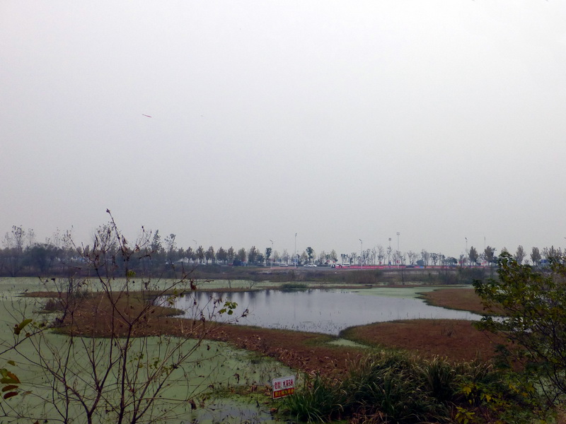 p1280659.jpg