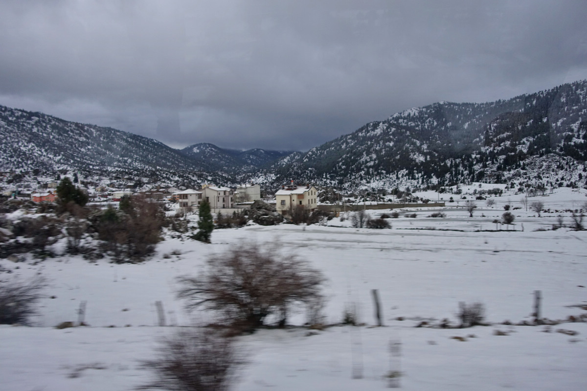 dsc01464.jpg