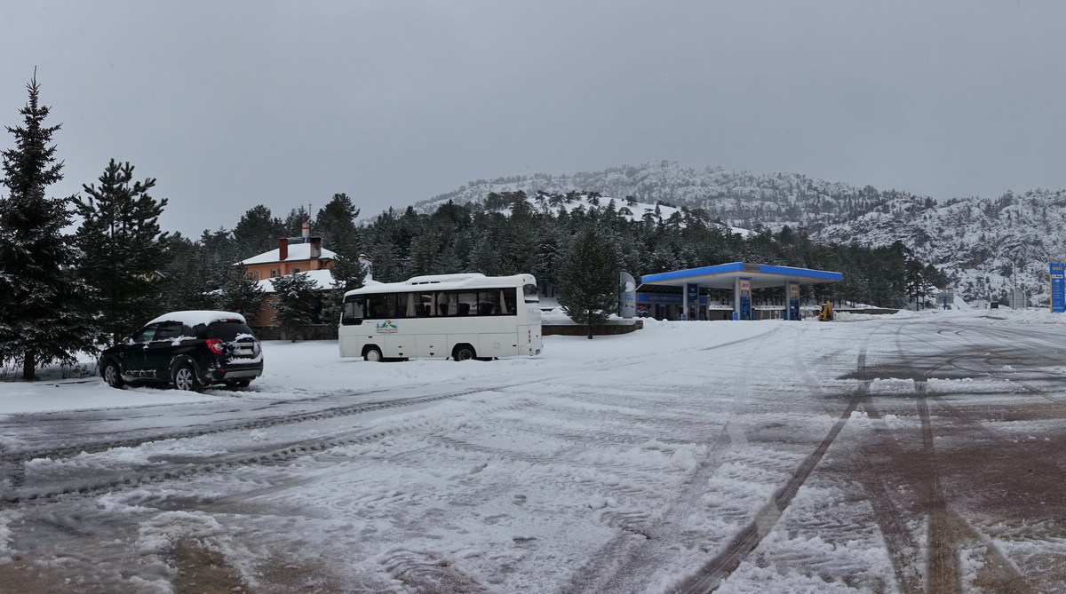 dsc01517.jpg