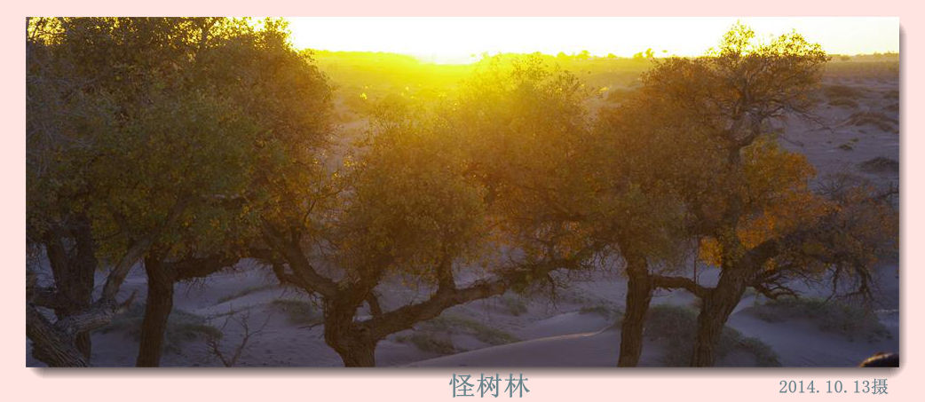 _igp3303_2345看图王.jpg