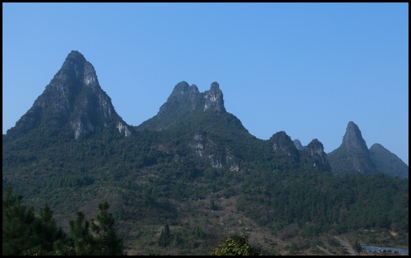 conew_콭 264_conew1.jpg
