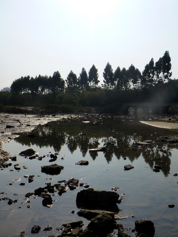 p1310539.jpg