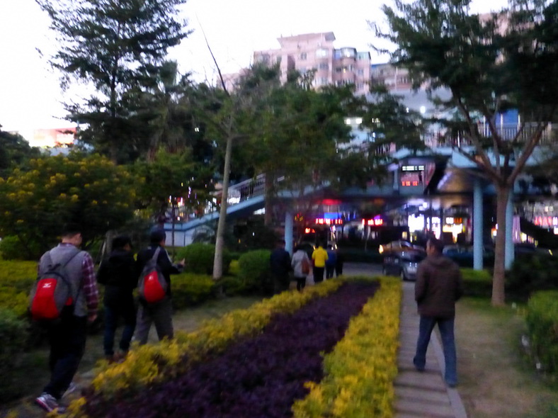 p1310547.jpg