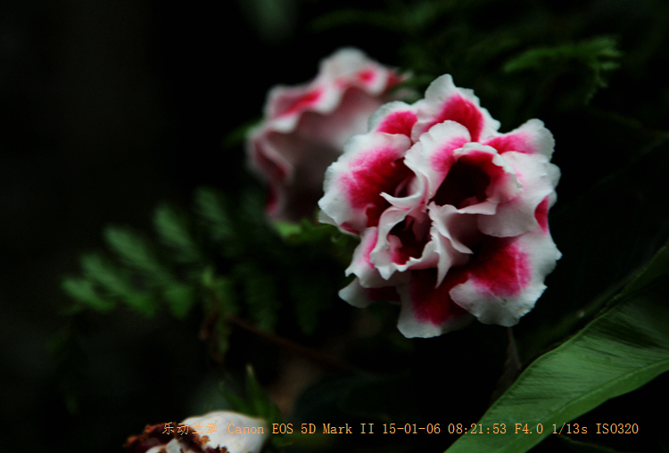 img_6280_.jpg