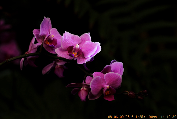 img_6219_.jpg