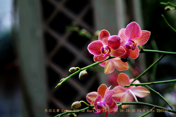 img_6294_副本.jpg