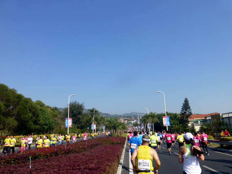 p1310736.jpg