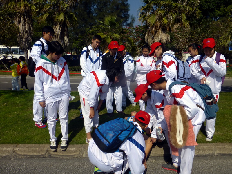 p1310744.jpg