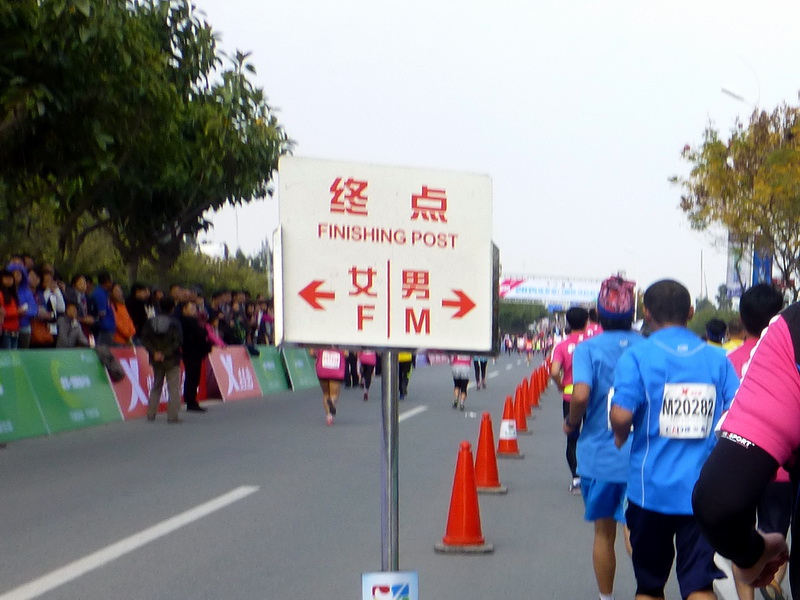 p1310773.jpg