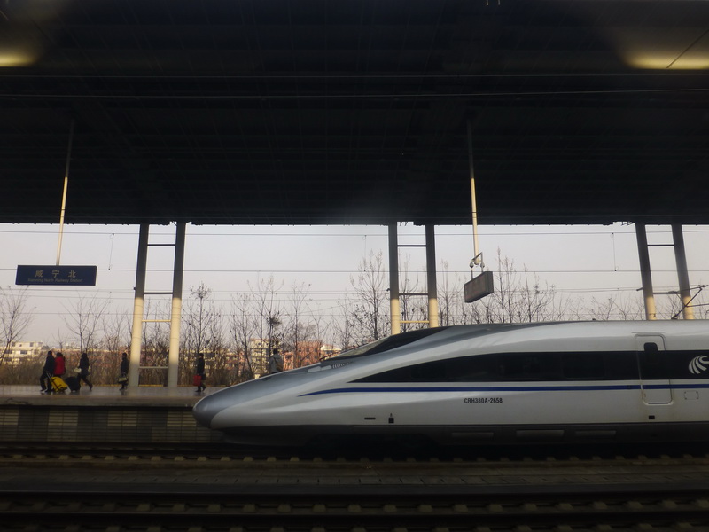 p1310289.jpg