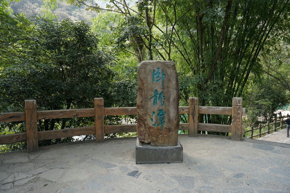 dsc04501.jpg