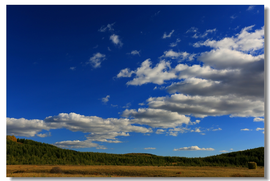 7b5a5571_dh.jpg