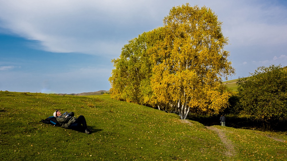 dsc_4932.jpg