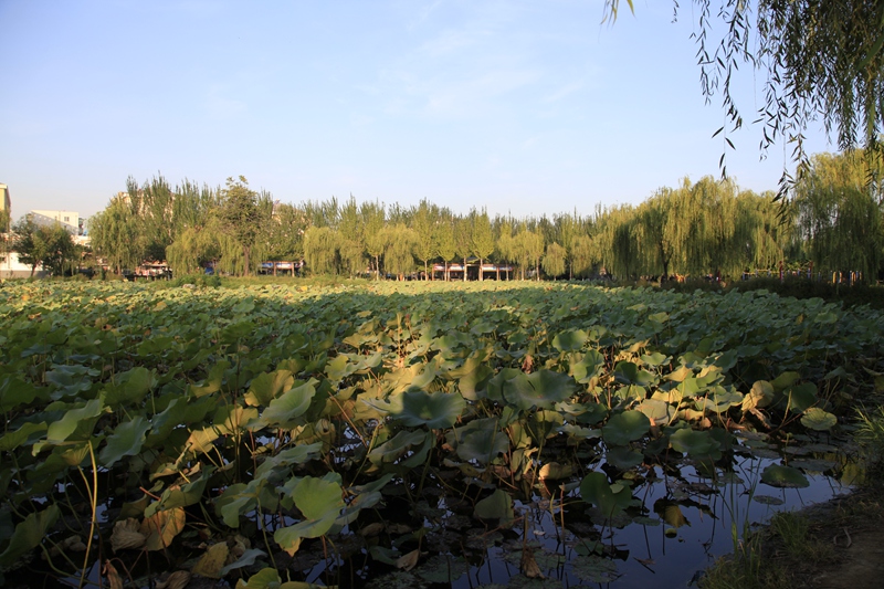 _mg_7772.jpg