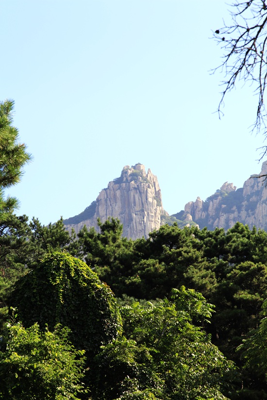 _mg_7832.jpg