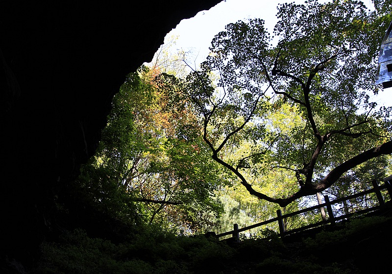 _mg_6629.jpg