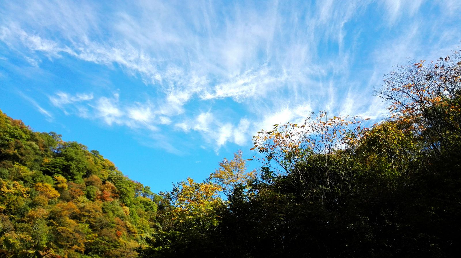 img_20151010_092948.jpg