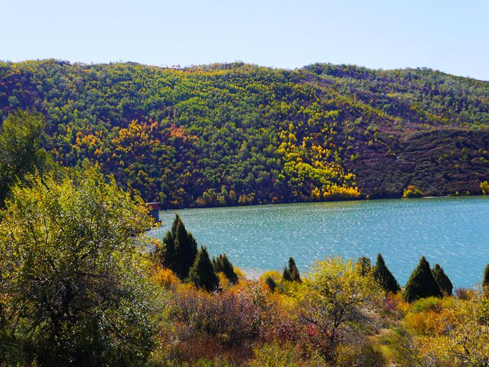 p1200995_.jpg