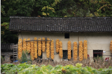 qq图片20151012150907.png