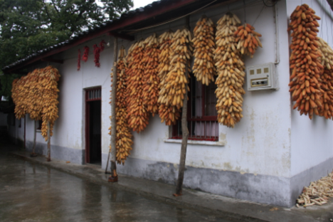 qq图片20151012150923.png