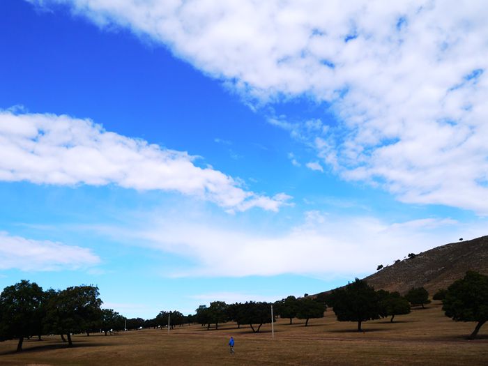 p1210163_.jpg