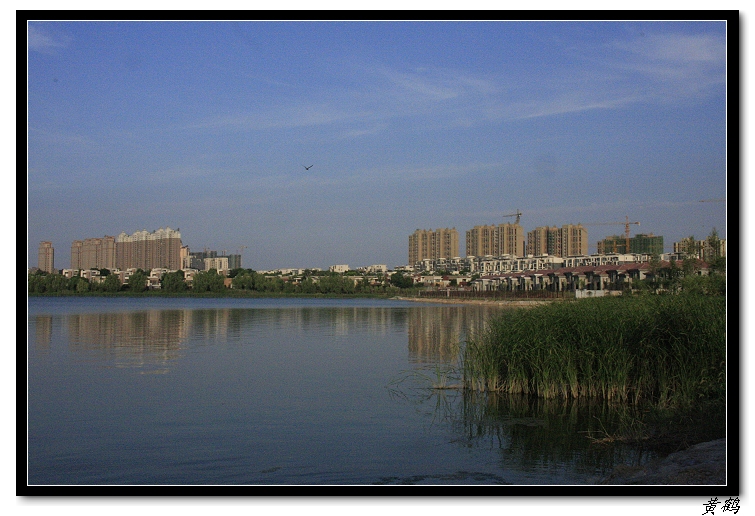 ٺ006.jpg
